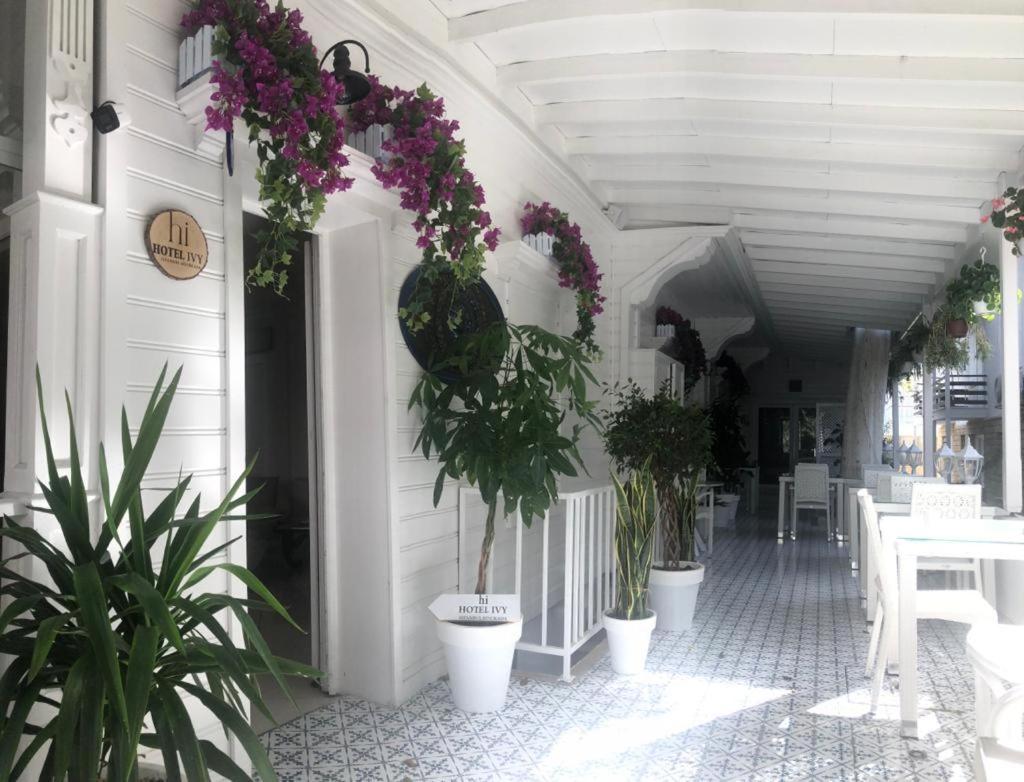 Hi Hotel Ivy Bueyuekada Adalar Exteriér fotografie